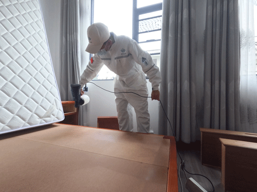 大理酒店除甲醛是否有必要 大理酒店除甲醛是否有必要